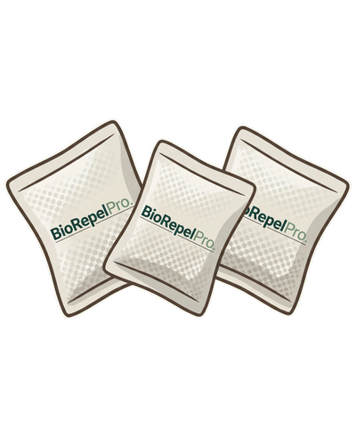 2-3 POUCHES