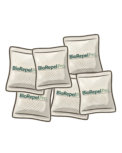 4-6 POUCHES